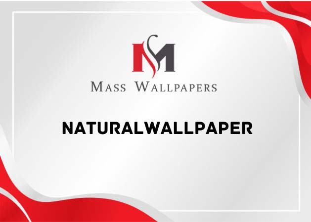 bedroom-wallpaper-design-for-nerkundram